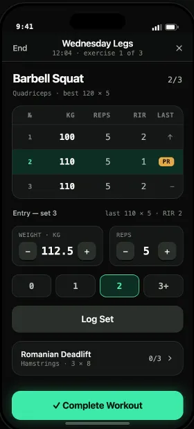 The Notch logging screen — the live product